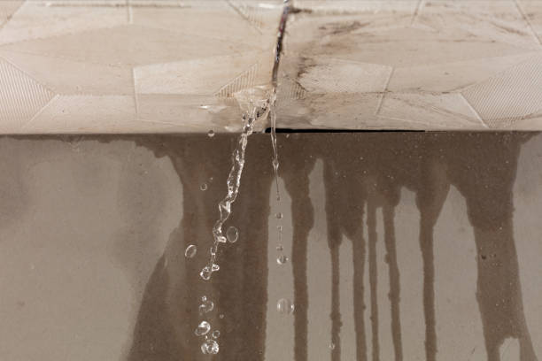 Professional Burst Pipe Cleanup technician working in Rantoul, IL